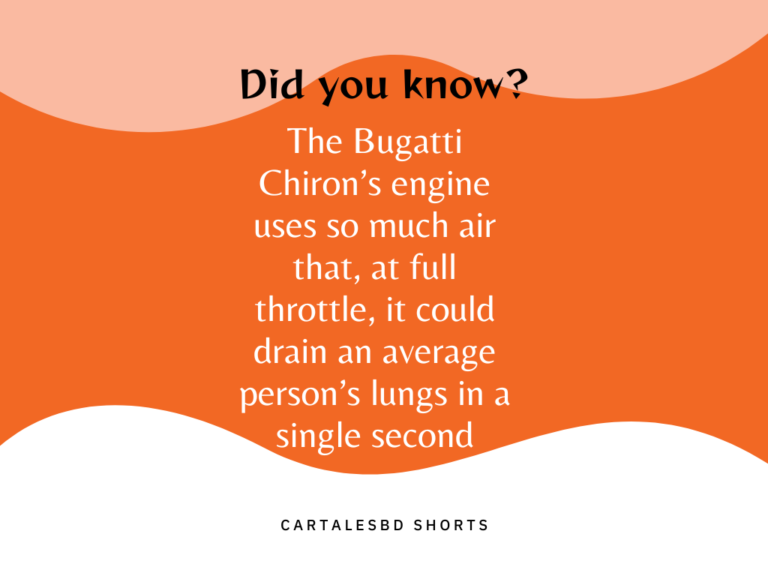 did you know?